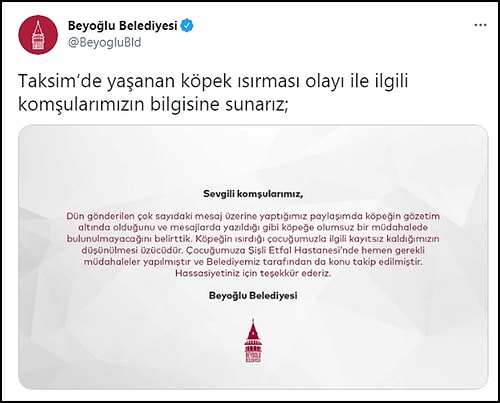 8 Yaşındaki Çocuk Kafasından Isırıldı, Belediyenin 'Minik Dostumuz' Tweeti Tepkilere Neden Oldu