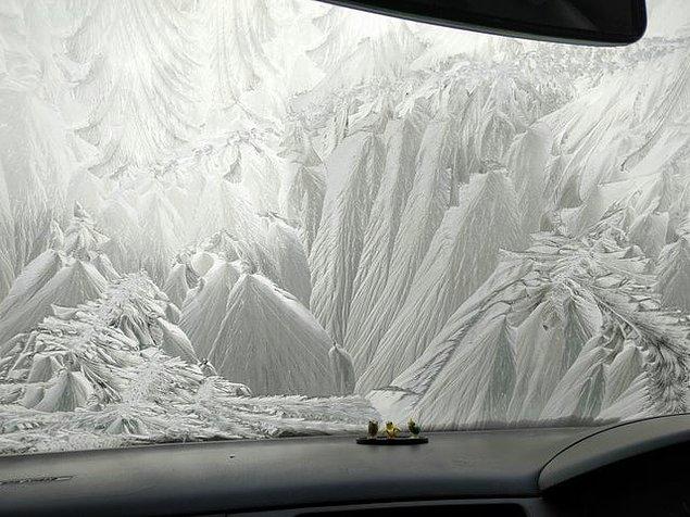 1. "Arabamın ön camı bu şekilde donmuş!"😍