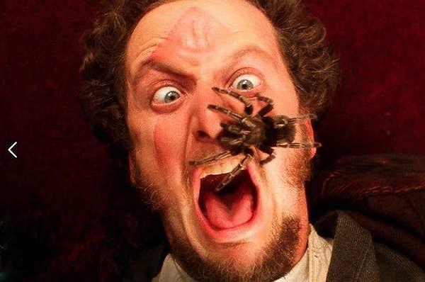 12. Evde Tek Başına filminde, Daniel Stern yüzüne sahte bir örümceğin konulacağını düşünürken gerçek bir örümcekle yüz yüze geldi.
