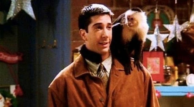 10. David Schwimmer dizinin 10 bölüm yönetmenliğini de yapmıştır.