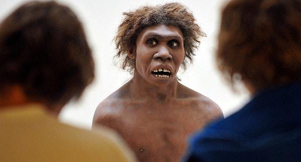 Tüm bu sebepler, Neandertallerin şartlara uyum sağlayamayışına, sayı olarak gitgide azalmalarına ve nesillerinin tükenmesine ve tüm bunların da evrimleşme sürecini yavaşlattığını söyleyebiliriz.