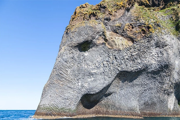 İzlanda'da fil başı şeklinde devasa bir kaya vardır.