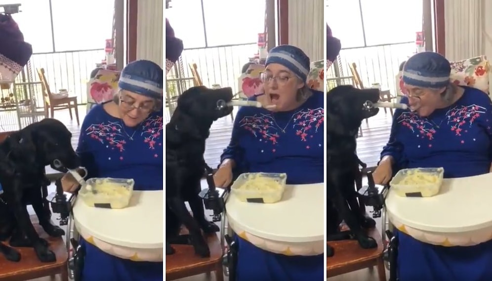 Engelli İnsan Dostuna Kaşıkla Yemek Yediren Köpek