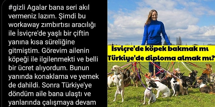 Boğaziçi Üniversitesi'nde Okuyan Öğrencinin İsviçre'den Aldığı Kafa Karıştıran İş Teklifi ve Bazı Gerçekler