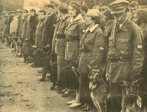 2. 2. Dünya Savaşı'nda Ruslar, düşman tanklarının altına girip bomba bırakabilmesi için köpekleri eğitmişlerdi ama bu plan kötü bir şekilde geri tepti.