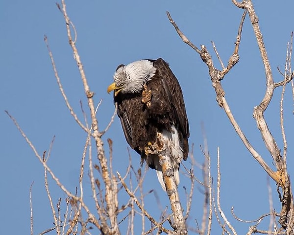 5. Ох как не красиво..
