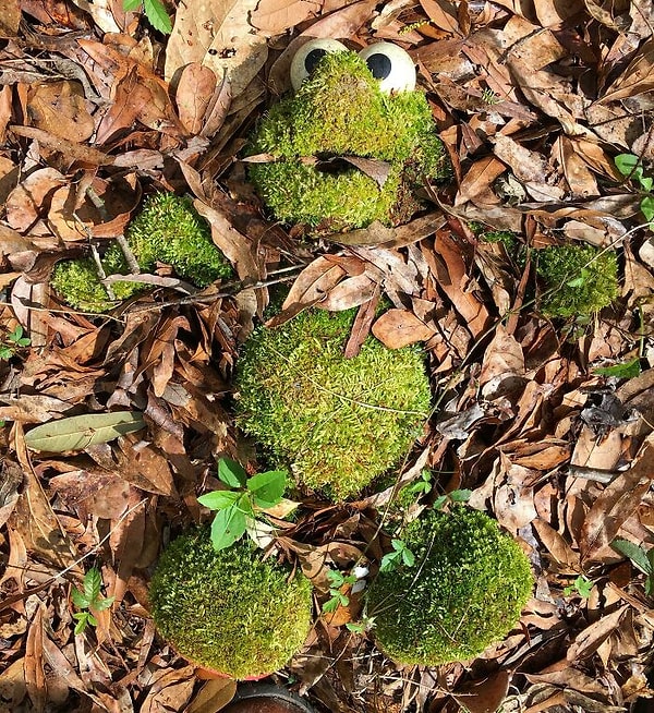 13. Друг нашел это в походе