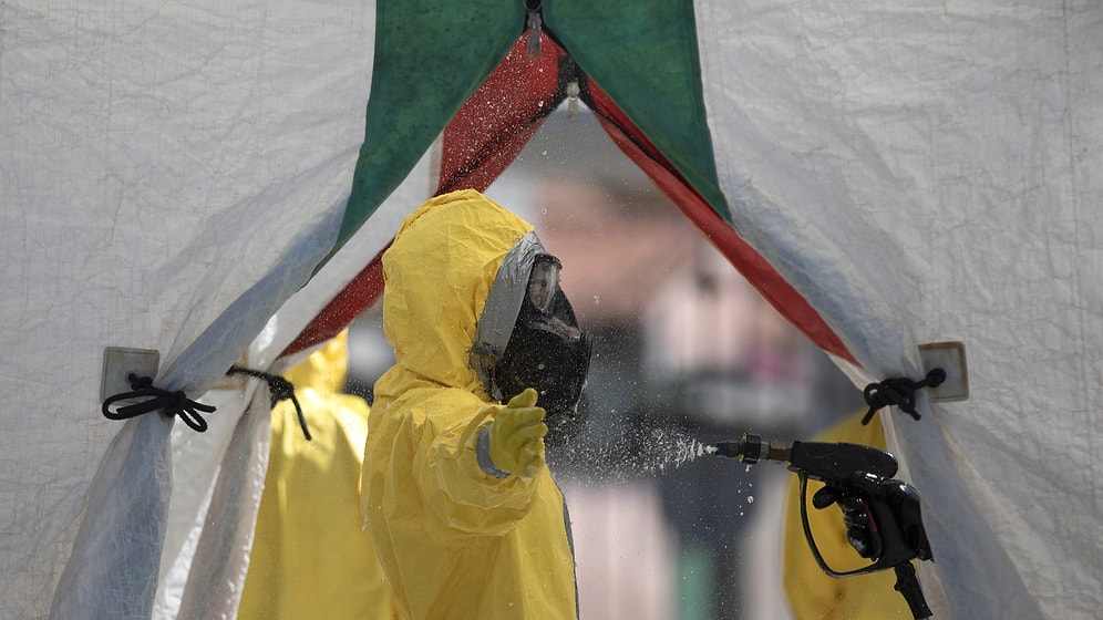 Brezilya'da Yeni Mutasyon: 18 Türün Birleşiminden Oluşuyor