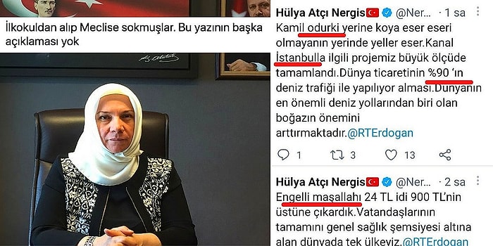 AKP Milletvekili Hülya Atçı Nergis'in Demet Akalın'ı Aratmayan Türkçesi İnsanların Gözlerini Kanattı