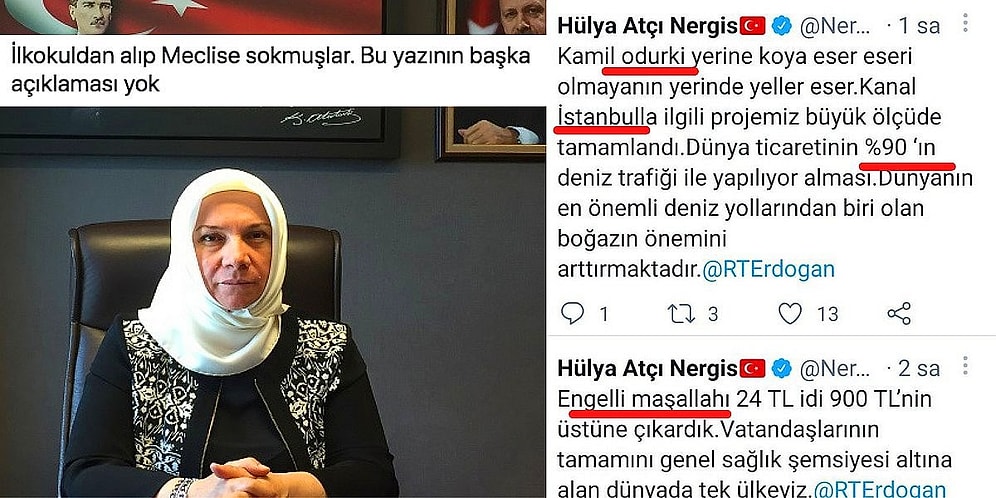 AKP Milletvekili Hülya Atçı Nergis'in Demet Akalın'ı Aratmayan Türkçesi İnsanların Gözlerini Kanattı