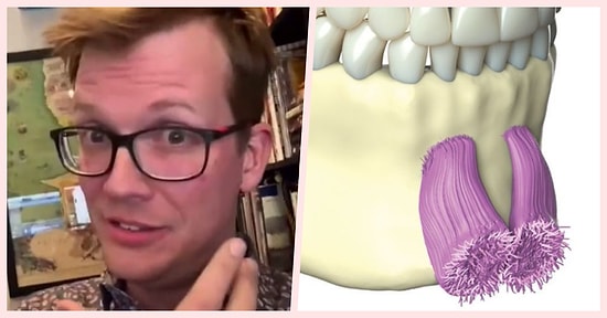 Çene Kaslarının Nasıl Göründüğünü Anlatarak İnsanları Şaşkına Çeviren TikTok Videosu