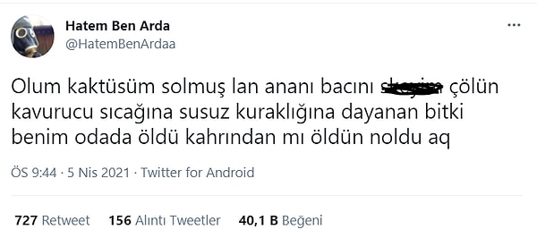 3. Solacak ne yaşadı kim bilir...