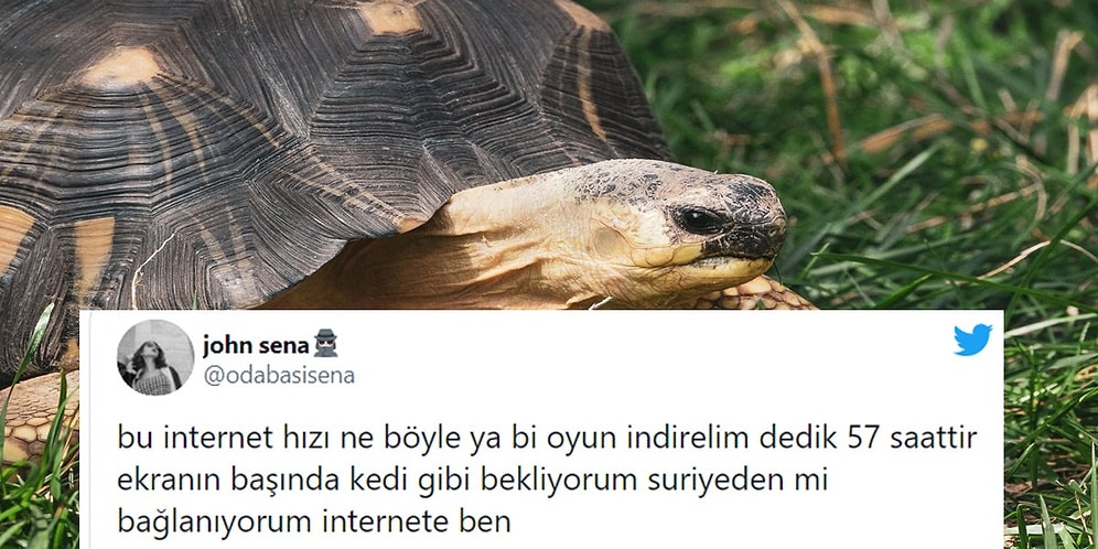 Kaplumbağayla Yarışsa Fark Yiyecek İnternet Hızımız Hakkında Söyleyecekleri Olan Oyunculardan Gelen Tepkiler