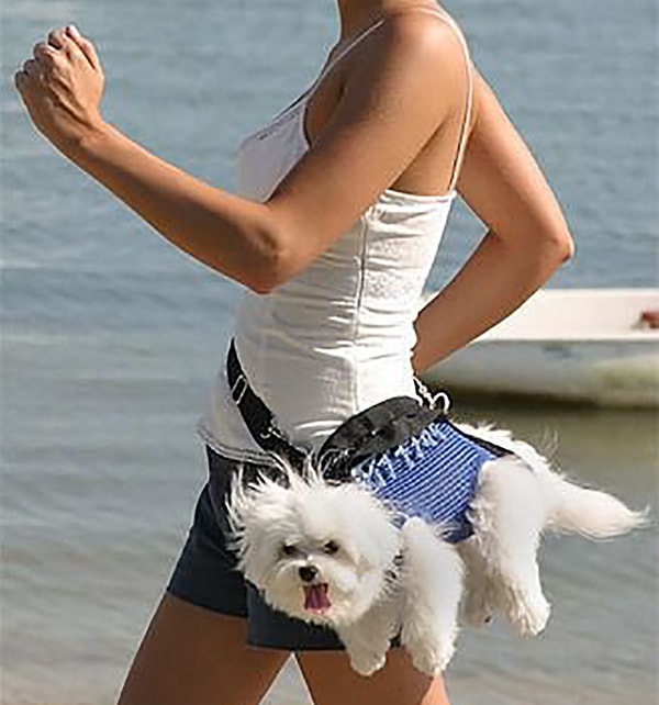 9. Такая переноска для собак