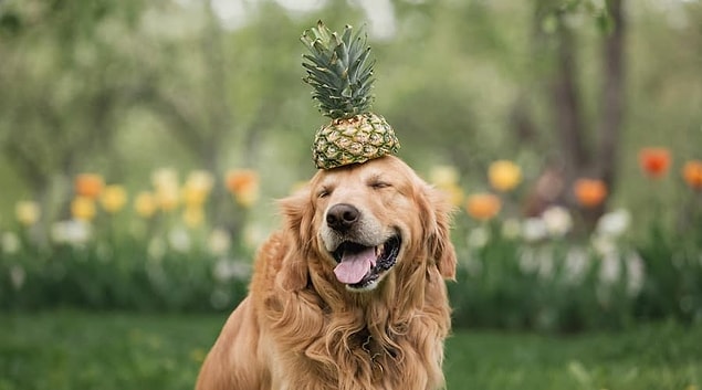 9. Ananas