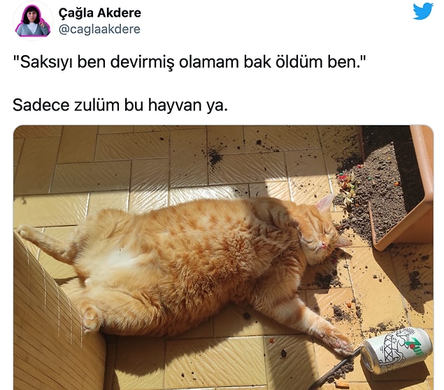 18.