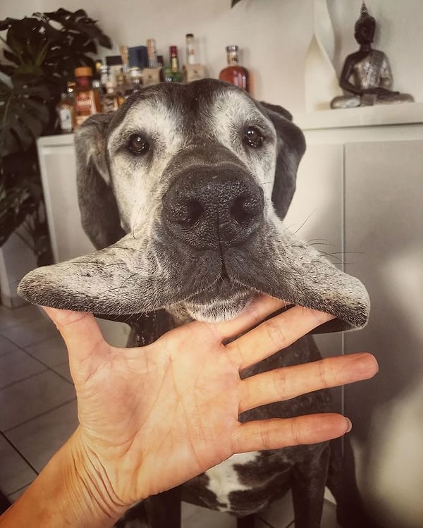 6. Кому блины?