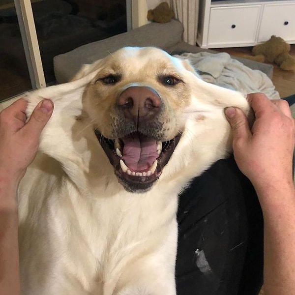 10. Люблю этого парня