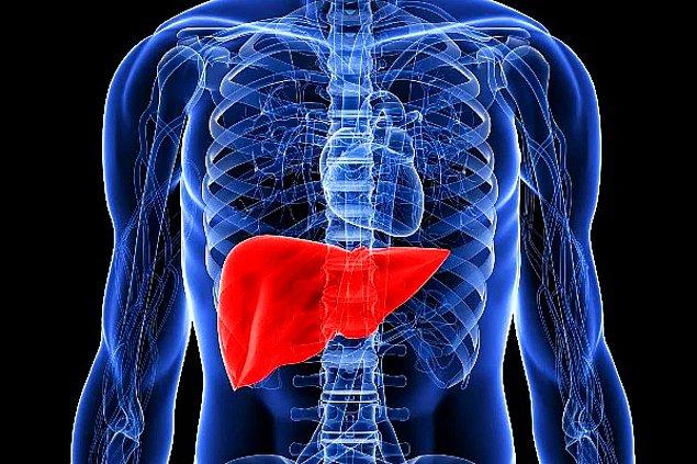 Karaciğeriniz vücudunuzdaki toksinlerden kurtulmanıza yardımcı olan ve aldığınız ilaçları sindirmenizi sağlayan en önemli organlardan biridir.