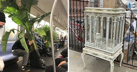 20 сокровищ, которые люди нашли выброшенными прямо на улицах Нью-Йорка