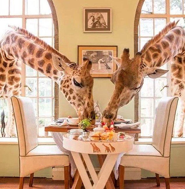 16. Giraffe Manor, Nairobi, Kenya