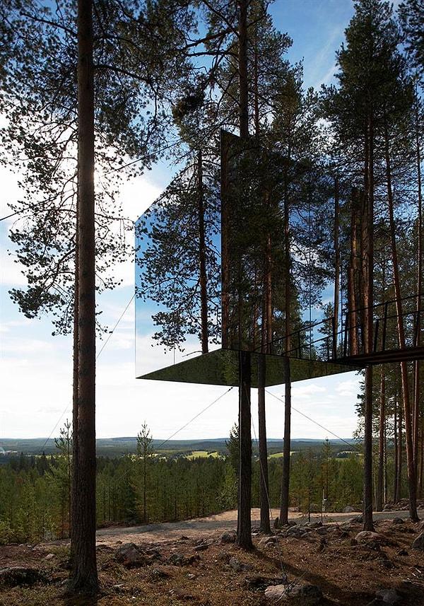 37. Treehotel, Harads, İsveç