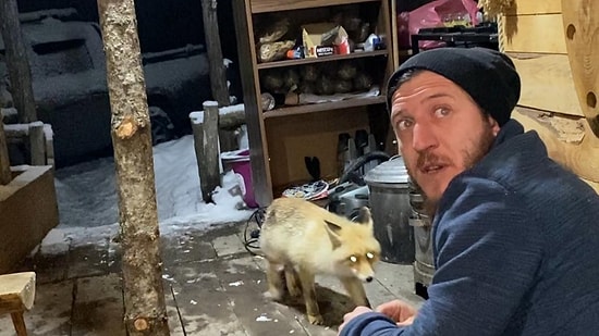 Evine Giren Tilkiye Yiyecek Veren Vatandaş: 'Acaba Peynir mi Versek, Muhlama mi Etsak?'