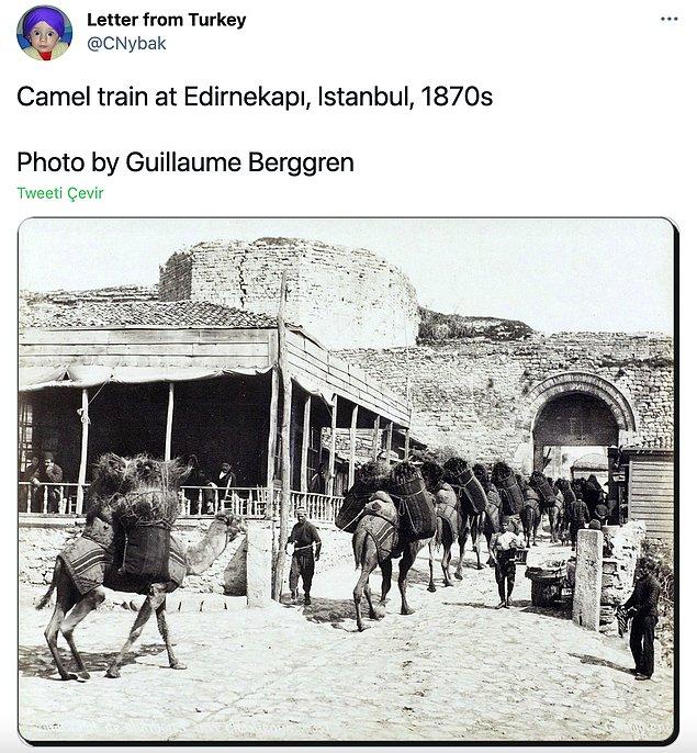 19. Edirnekapı'da develer, İstanbul, 1870'ler
