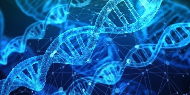 "Geçen yıl doğum günüm için eski sevgilim bana DNA testi setlerinden almıştı."