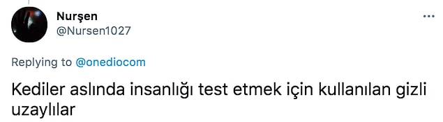 13. 👇