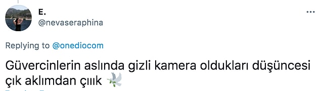 17. 👇
