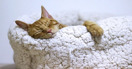 Kilo Vermenin En Güzel Hali: Uyurken Daha Fazla Kilo Vermenizi Sağlayacak Birbirinden Etkili 13 Yol