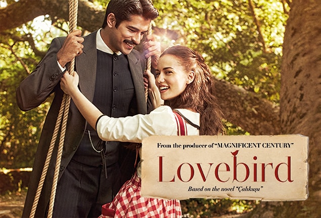 15. Çalıkuşu - Lovebird