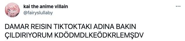 Bunun ortaya çıkmasıyla goygoylar da havada uçuştu pek tabii!