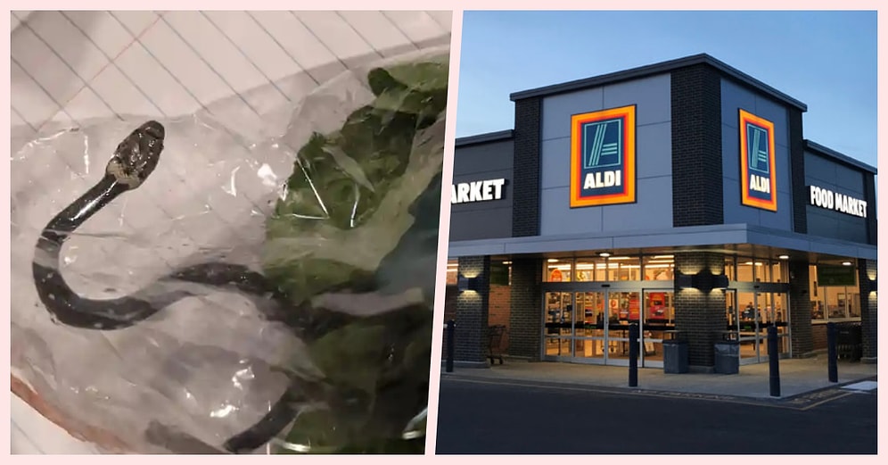 Avustralya'da Bir Çift, Marketten Aldıkları Marul Paketinden Yılan Çıktığını İddia Etti!