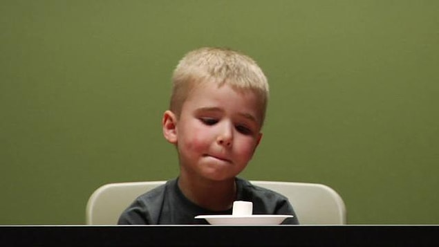 Marshmallow testinin aşamaları: