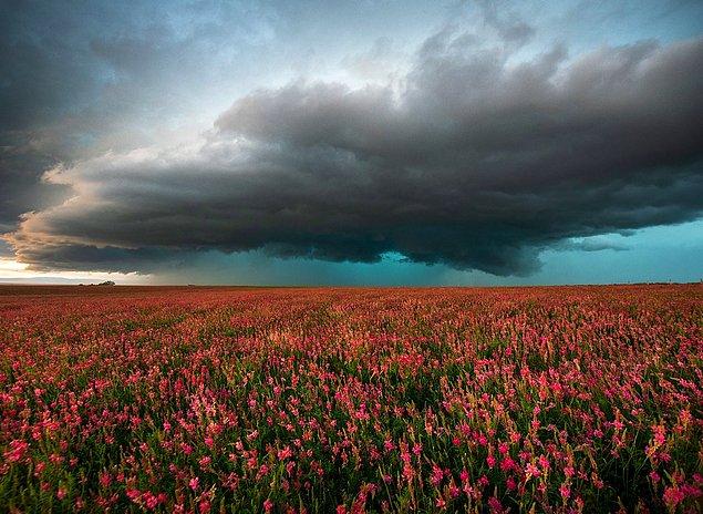 34. Doğa/Mevsimler Kategorisi İkinciliği: "En Güzel Son Yer" fotoğrafıyla Scott Blair