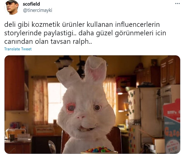 Bu tepkinin sebebi normalde sürekli cruelty-free olmayan markaları kullanan ve reklamını yapan fenomenlerin, sanki bu zulme karşıymış gibi bir tavır takınmasıydı.