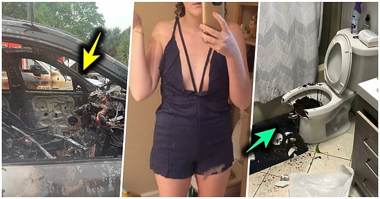 Çöle Düşse Kutup Ayılarıyla Karşılaşıp Birtakım Tatsız Olaylar Yaşayabilecek 15 Bahtsız Kişi