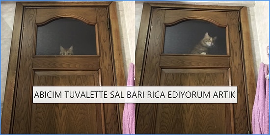 Yaşadıkları Komik Olayları Tweet’leyerek Sizin de Yüzünüzü Güldürüp Gününüzü Kurtaracak 15 Kişi