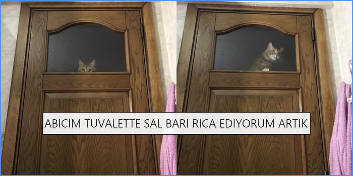 Yaşadıkları Komik Olayları Tweet’leyerek Sizin de Yüzünüzü Güldürüp Gününüzü Kurtaracak 15 Kişi