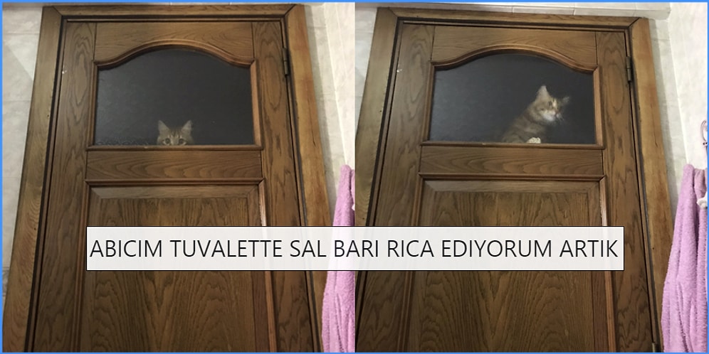 Yaşadıkları Komik Olayları Tweet’leyerek Sizin de Yüzünüzü Güldürüp Gününüzü Kurtaracak 15 Kişi