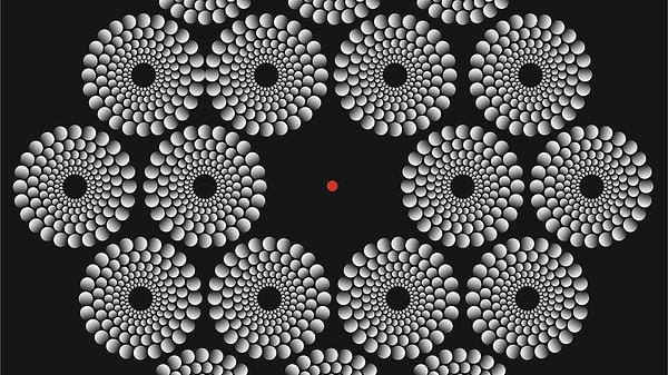 1. Öncelikle, görselde gördüğünüz kırmızı noktaya odaklandığınızda tam olarak ne görüyorsunuz?