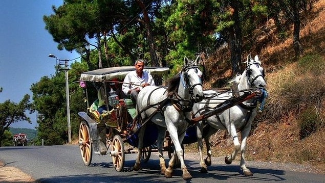 Ne olmuştu?