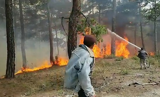 Denizli'de Orman Yangını, 3 Saatte Söndürüldü; 4 Hektar Alan Yandı