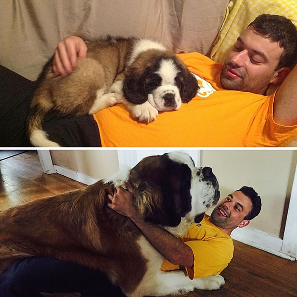 3. Два года разницы