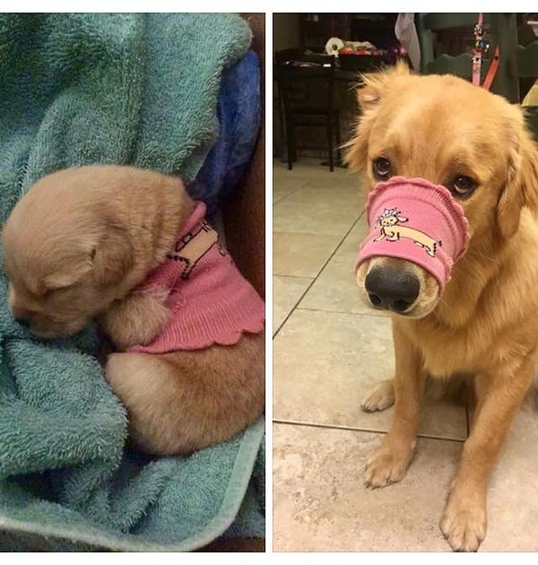 15. Немного маловато стало