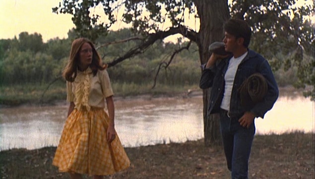 3. Badlands (1973)