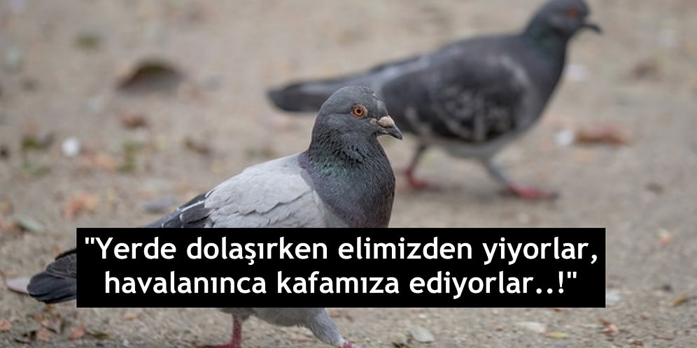 Gülüp Gülmeyeceğinize Karar Veremeyeceğiniz 12 Kara Mizah Örneği