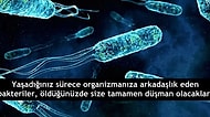 Bilmemek Ayıp Değil! Biyoloji Konuşulan Ortamlarda Edebileceğiniz 13 Kelam